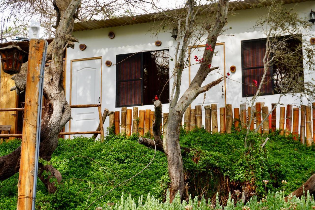 Hotel Rochabus Ica Exterior foto